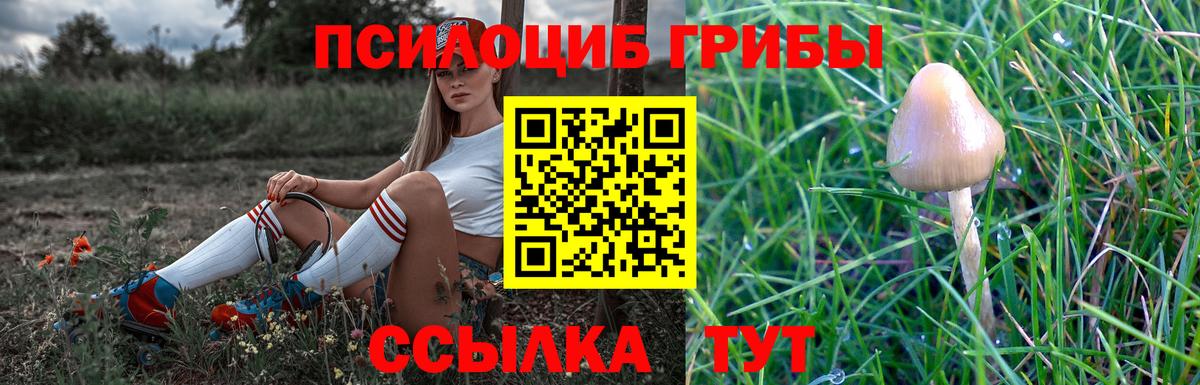 Галлюциногенные грибы мухоморы Новый Уренгой
