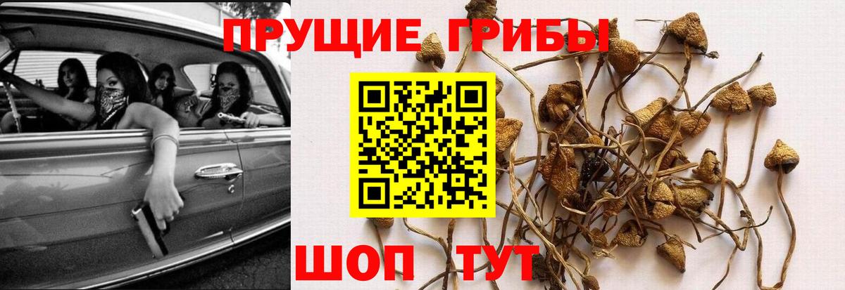 Новый Уренгой  Галлюциногенные грибы мухоморы  Вход с VPN 