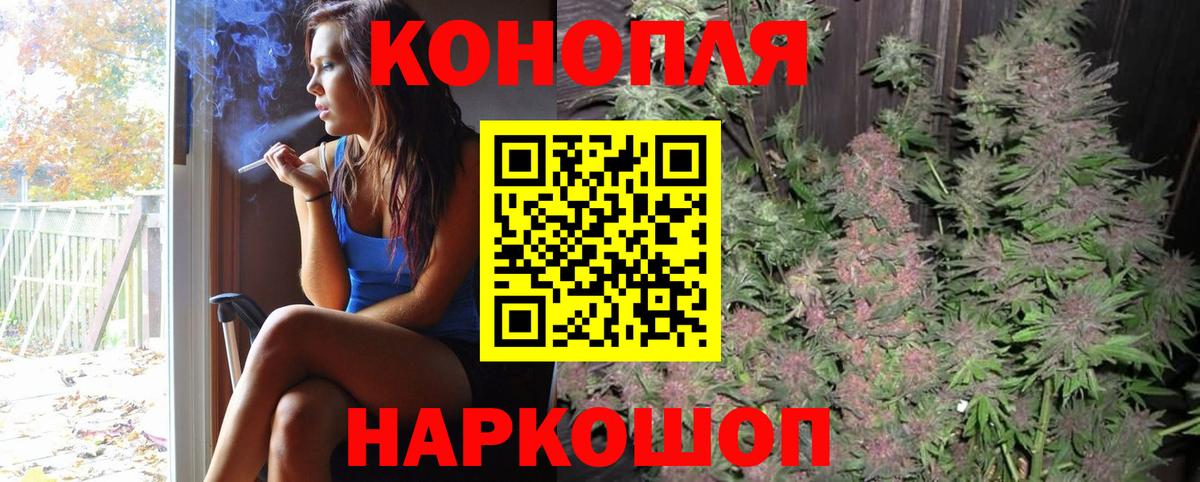 Конопля план  Бошки марихуана план  Новый Уренгой  Вход с VPN  МАРИХУАНА сатива 